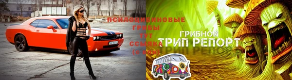 бутират Баксан