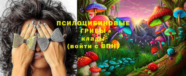 сатива Белокуриха